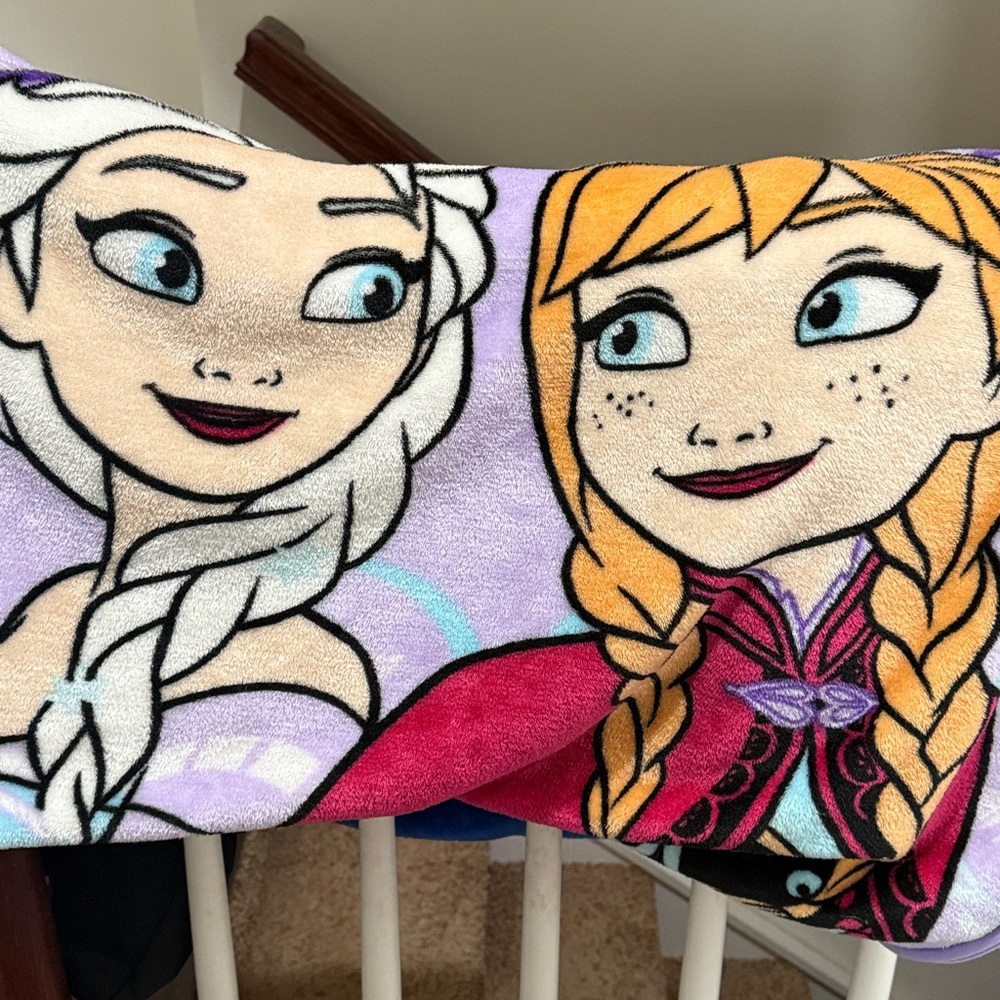Disney Frozen Sisters Elsa & Anna Twin size zippy sack
